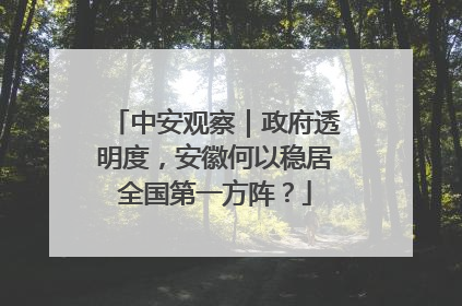 中安观察｜政府透明度，安徽何以稳居全国第一方阵？