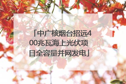 中广核烟台招远400兆瓦海上光伏项目全容量并网发电