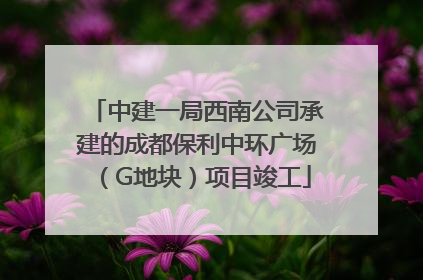 中建一局西南公司承建的成都保利中环广场（G地块）项目竣工