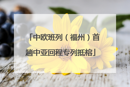中欧班列（福州）首趟中亚回程专列抵榕
