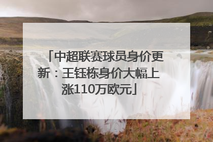 中超联赛球员身价更新：王钰栋身价大幅上涨110万欧元