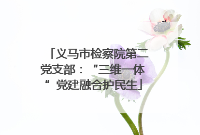 义马市检察院第二党支部：“三维一体”党建融合护民生