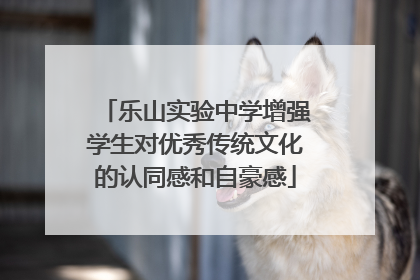 乐山实验中学增强学生对优秀传统文化的认同感和自豪感