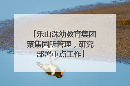 乐山洙幼教育集团聚焦园所管理，研究部署重点工作