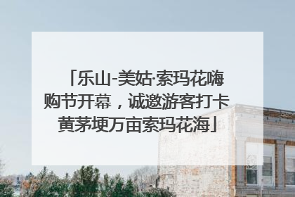 乐山-美姑·索玛花嗨购节开幕，诚邀游客打卡黄茅埂万亩索玛花海