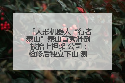 人形机器人“行者泰山”泰山首秀滑倒被抬上担架 公司：检修后独立下山 测试就是为暴露问题