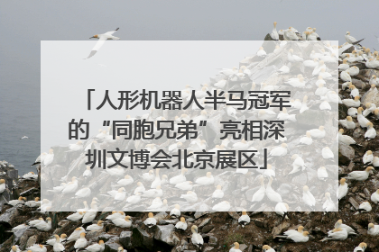 人形机器人半马冠军的“同胞兄弟”亮相深圳文博会北京展区