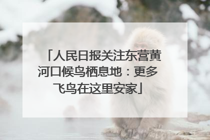 人民日报关注东营黄河口候鸟栖息地：更多飞鸟在这里安家