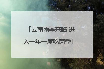 云南雨季来临 进入一年一度吃菌季