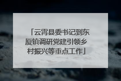 云霄县委书记到东厦镇调研党建引领乡村振兴等重点工作