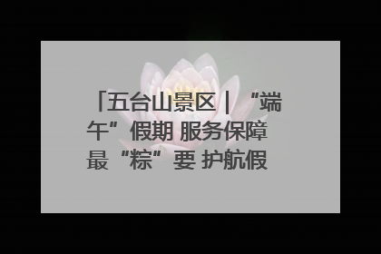 五台山景区｜“端午”假期 服务保障最“粽”要 护航假期“不打烊”