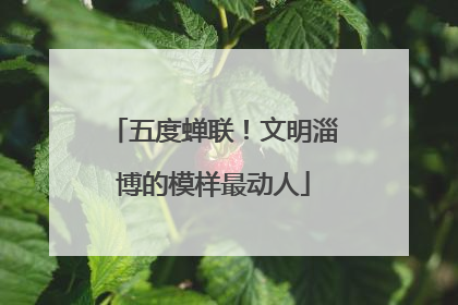 五度蝉联！文明淄博的模样最动人