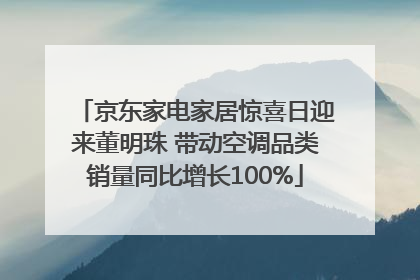 京东家电家居惊喜日迎来董明珠 带动空调品类销量同比增长100%