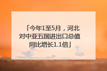 今年1至5月，河北对中亚五国进出口总值同比增长1.1倍