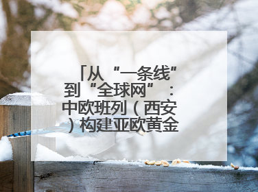 从“一条线”到“全球网”：中欧班列（西安）构建亚欧黄金物流大通道