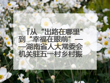 从“出路在哪里”到“幸福在眼前”——湖南省人大常委会机关驻五一村乡村振兴帮扶工作队书写振兴答卷