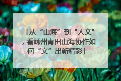 从“山海”到“人文”，看嵊州青田山海协作如何“文”出新精彩