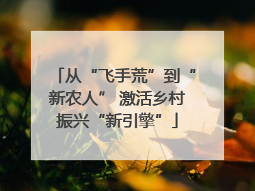 从“飞手荒”到“新农人” 激活乡村振兴“新引擎”
