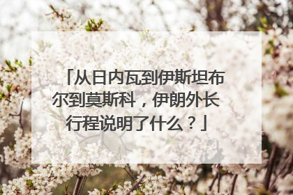 从日内瓦到伊斯坦布尔到莫斯科，伊朗外长行程说明了什么？