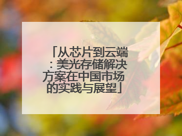 从芯片到云端：美光存储解决方案在中国市场的实践与展望