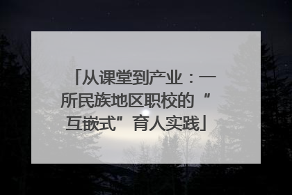 从课堂到产业：一所民族地区职校的“互嵌式”育人实践