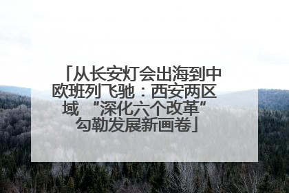 从长安灯会出海到中欧班列飞驰：西安两区域 “深化六个改革” 勾勒发展新画卷