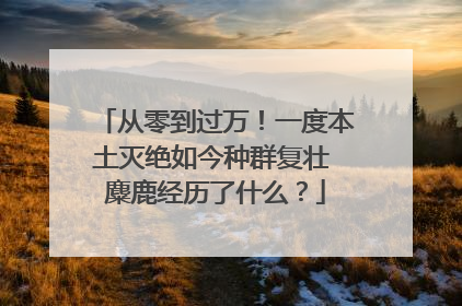从零到过万！一度本土灭绝如今种群复壮 麋鹿经历了什么？