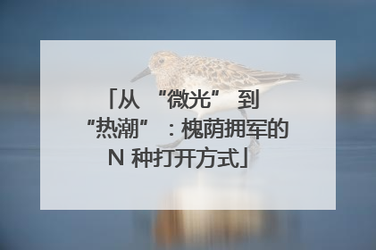 从 “微光” 到 “热潮”：槐荫拥军的 N 种打开方式