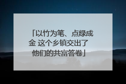 以竹为笔、点绿成金 这个乡镇交出了他们的共富答卷