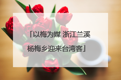以梅为媒 浙江兰溪杨梅乡迎来台湾客