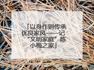 以身作则传承优良家风——记“文明家庭”陈小梅之家