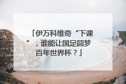 伊万科维奇“下课”，谁能让国足圆梦百年世界杯？