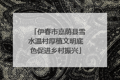伊春市嘉荫县雪水温村厚植文明底色促进乡村振兴
