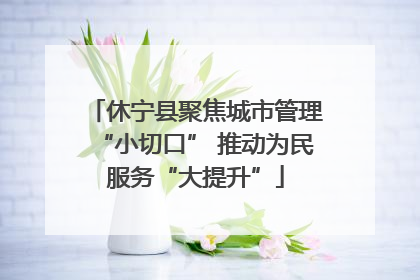 休宁县聚焦城市管理“小切口” 推动为民服务“大提升”