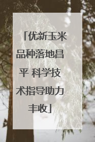 优新玉米品种落地昌平 科学技术指导助力丰收