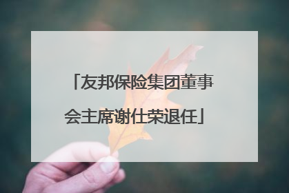 友邦保险集团董事会主席谢仕荣退任