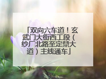 双向六车道！玄武门大街西工段（纱厂北路至定鼎大道）主线通车
