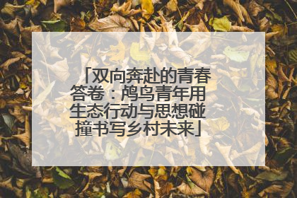 双向奔赴的青春答卷：鸬鸟青年用生态行动与思想碰撞书写乡村未来