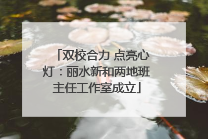 双校合力 点亮心灯：丽水新和两地班主任工作室成立