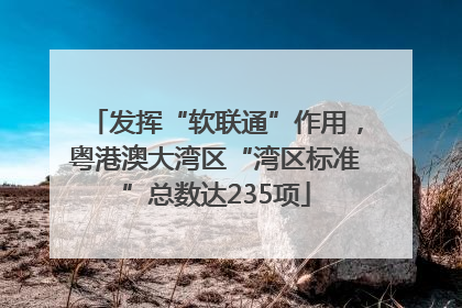 发挥“软联通”作用，粤港澳大湾区“湾区标准”总数达235项
