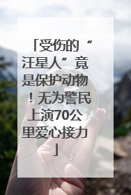 受伤的“汪星人”竟是保护动物！无为警民上演70公里爱心接力
