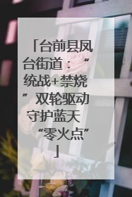 台前县凤台街道：“统战+禁烧”双轮驱动守护蓝天 “零火点”
