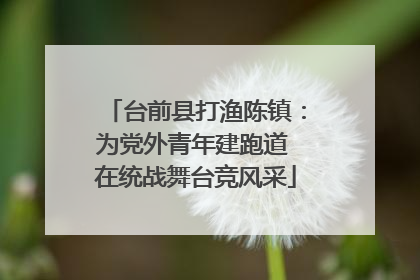 台前县打渔陈镇：为党外青年建跑道 在统战舞台竞风采