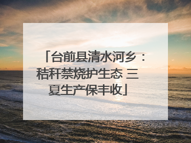 台前县清水河乡：秸秆禁烧护生态 三夏生产保丰收