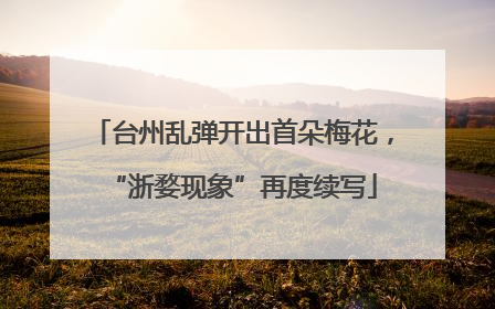 台州乱弹开出首朵梅花，“浙婺现象”再度续写