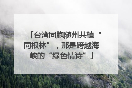 台湾同胞随州共植“同根林”，那是跨越海峡的“绿色情诗”