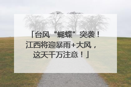 台风“蝴蝶”突袭！江西将迎暴雨+大风，这天千万注意！