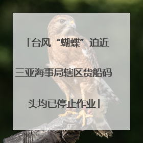台风“蝴蝶”迫近 三亚海事局辖区货船码头均已停止作业