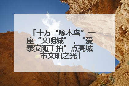 十万“啄木鸟”一座“文明城”，“爱泰安随手拍”点亮城市文明之光