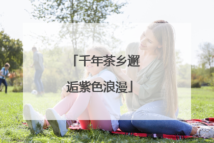 千年茶乡邂逅紫色浪漫